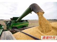 中国“一船大豆”都没买，美国豆农撑不住，求