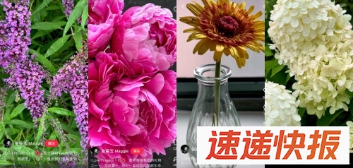 张曼玉2