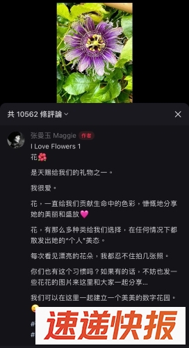 张曼玉3